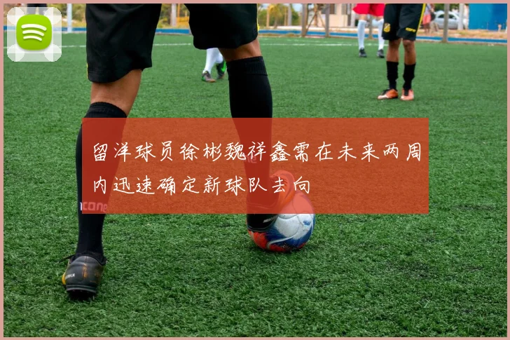 留洋球员徐彬魏祥鑫需在未来两周内迅速确定新球队去向